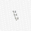 Genuine Nissan RB26 / 25 / 20  Rear Main Plate Bolt Set Kit