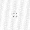 Genuine Nissan R32 RB20 RB26 Oil Pick Up Tube O-Ring - 15059-V500A