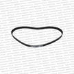 Tomei Powered Timing Belt RB20 RB25 RB26 - 151051