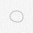 Genuine Nissan Skyline GTR GTS4 & Stagea Front Right Bearing Retainer O Ring 38343-03V01
