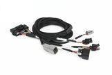 Haltech NEXUS Universal Plug-in IO Expansion Harness - 2.5m (8ft)