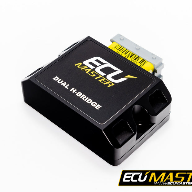 Dual H-Bridge Module