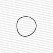 Genuine Toyota MK4 Supra / JZS161 Aristo Differential Side Bearing Carrier Seal - 90301-96003