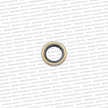 Genuine Toyota Altezza Rear Output Shaft Seal