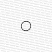 Genuine Toyota R154 Seal For Wheel Speed Sensor - 96711-24030