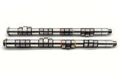 Kelford Honda B16A / B18C VTEC NA Racing Camshafts 294/286 - 176-C