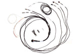 Haltech Semi Terminated Stand-Alone Harness For iC-7 Display Dash - HT-060300