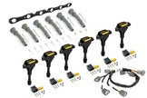 Haltech R35 Coil Bracket Kit for Ford Barra 4.0 Includes Bracket , Coils, Connectors and Harness - HT-120205