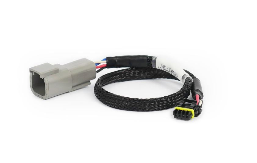 Haltech CAN Adaptor Loom DTM-4 to Molex Mizu-P25 - Suits Holley - HT-130053