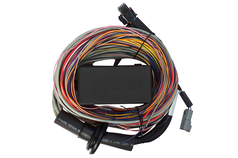Haltech Elite 550 & 750 Premium Universal Wire-in Harness - HT-140604