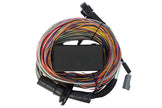 Haltech Elite 550 & 750 Premium Universal Wire-in Harness - HT-140604