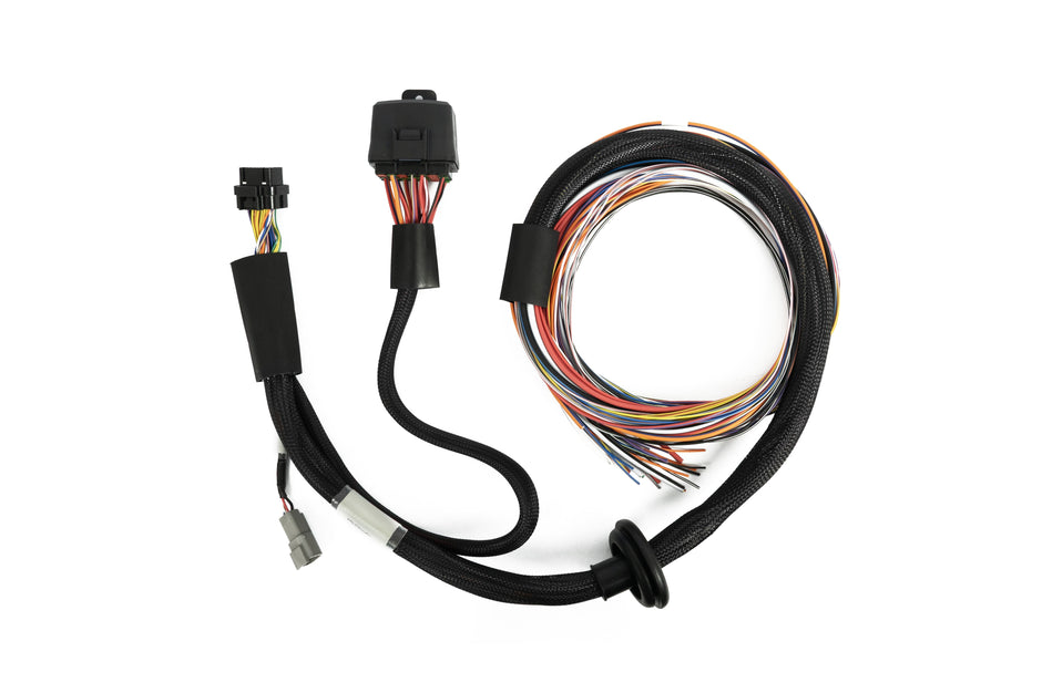 Haltech Nexus T2 / T1 Premium Universal Wire-in Harness - 2.5m (8') - HT-181201