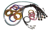 Haltech NEXUS R5 Universal Wire-In harness - 2.5m (8') - HT-185200