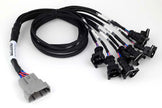 Haltech Nexus Universal V8 - Junior Timer (EV1) Injector Primary Breakout - HT-186000
