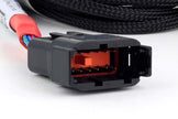 Haltech Nexus Universal V8 - Junior Timer (EV1) Injector Secondary Breakout - HT-186001