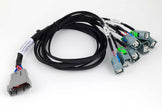 Haltech Nexus Universal V8 - GT150 (USCAR) Injector Primary Breakout - HT-186002