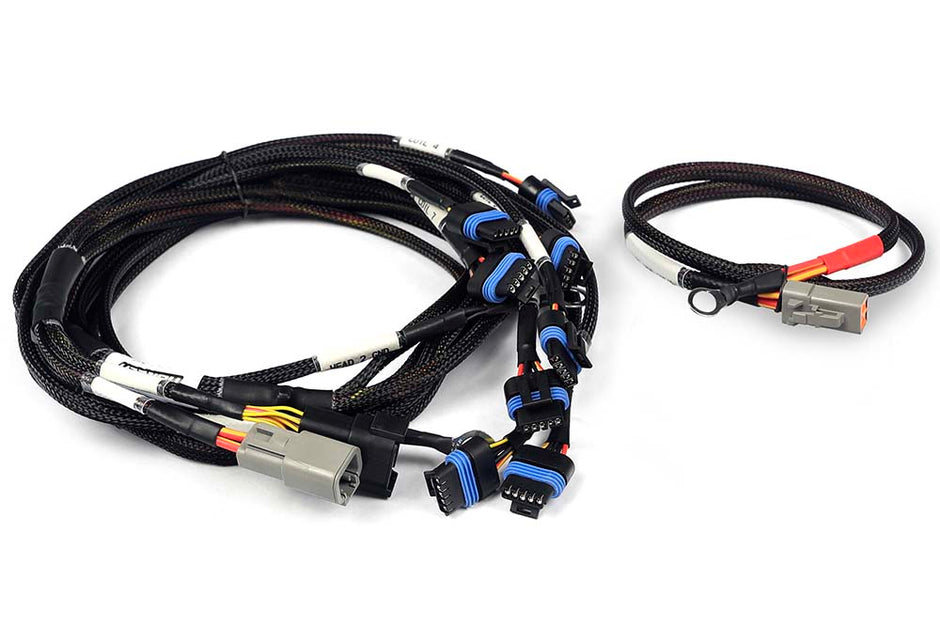 Haltech Nexus Universal V8 - IGN-1A Ford Harness - HT-186061