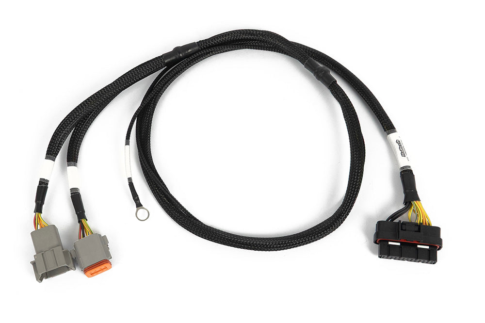Haltech Nexus 6 Cylinder Igniter Adapter Harness - HT-186069