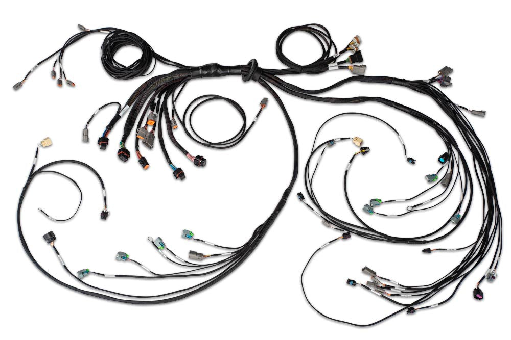 Haltech Nexus R5 LSx DBW Terminated Harness - DBW ready - HT-186205