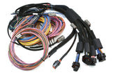 Haltech Nexus R5 VCU + Universal Wire-in Harness Kit - 5m (16') - HT-195201