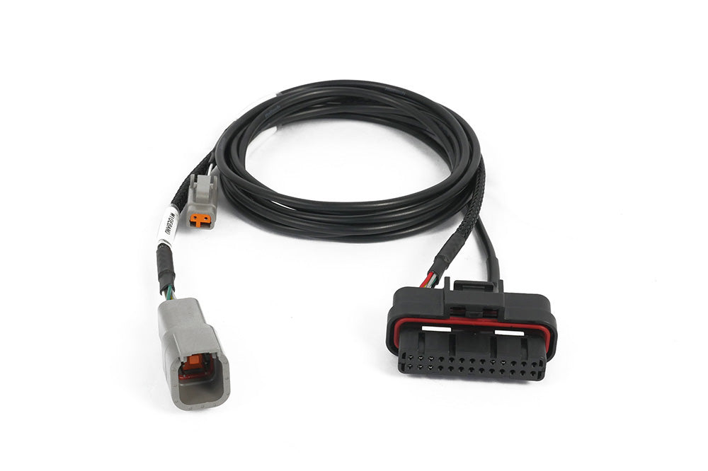 Haltech Nexus Plug-in ECU - Honda EP3 (01-05) DC5 (02-04) - HT-231001