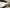 FPG Nissan Skyline R34GT-R Number Plate Bracket Nismo FPG-107 And OEM Bumpers Front Bar FPG-108