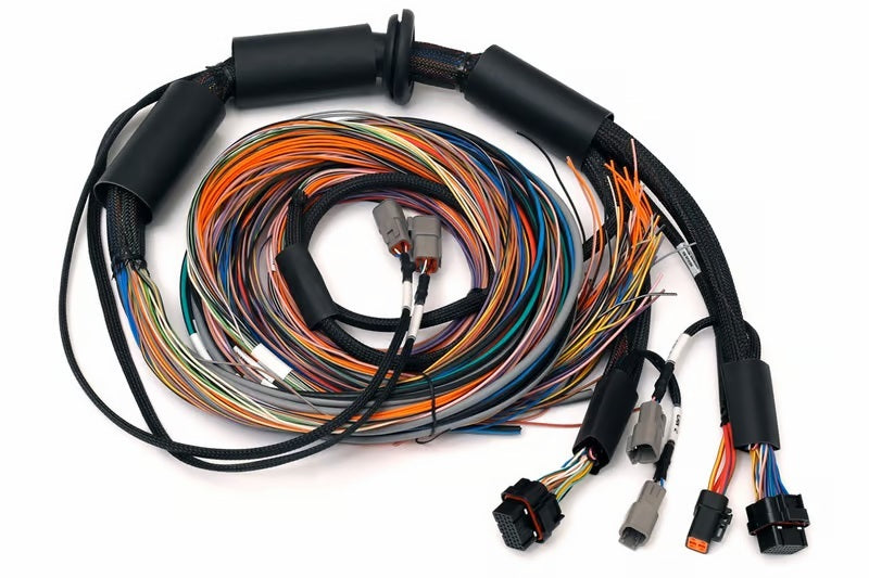Haltech NEXUS R3 Universal Wire-In Harness - 2.5M (8ft) - Boost Factory