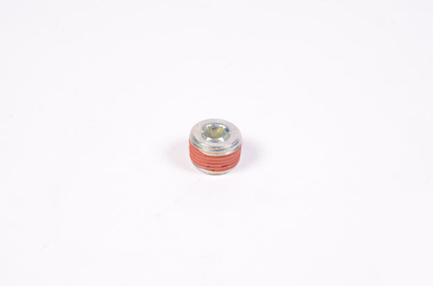 Radium Engineering 3/8in NPT Plug