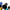 GKTech - 240sx/Skyline E-Brake Drift Button - Black - BTTN-BLCK