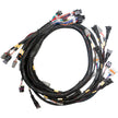 LINK Replacement Base Harness GM LS GEN3/4 101-0300