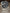 RB25 MANUAL 5 SPEED GEAR BOX- FS5R30A. R34 - Boost Factory