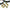 Turbosmart Spring Clamps 0.24
