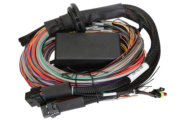 Haltech Elite 1500 Premium Universal Wire-In Harness - 2.5m (8ft) - Boost Factory