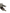 Genuine Nissan Ignition Cylinder Break Away Bolt Set (anti theft hardware) - 48703-06F0A.
